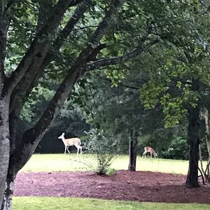 Meet your Posher, Judy
